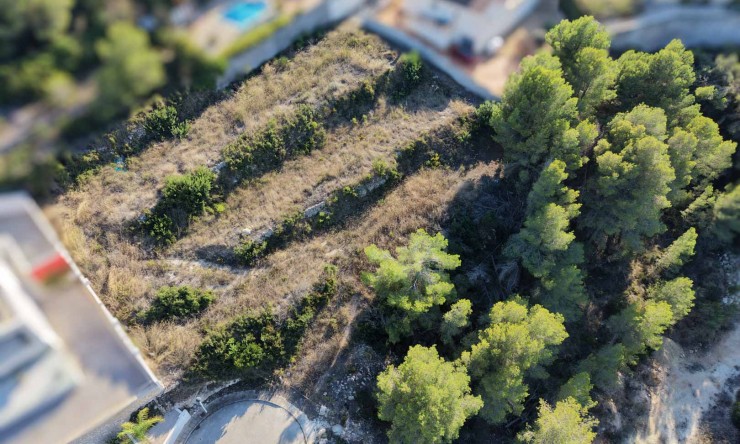 Wiederverkauf -  -
Moraira - Benimeit