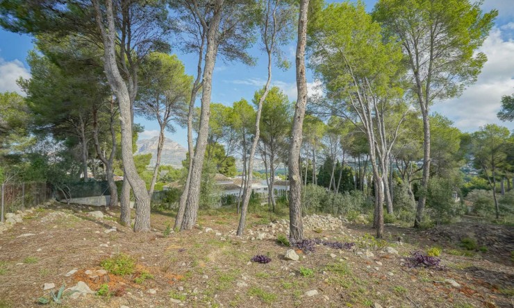 Herverkoop -  -
Jávea - La Lluca