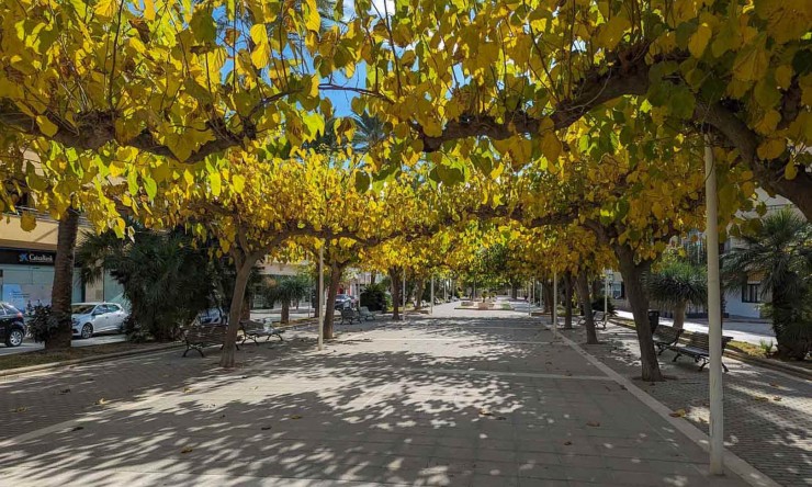 Herverkoop - Finca -
Teulada