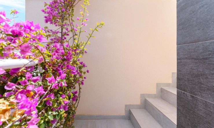 Rynek Wtórny - Willa -
San Miguel de Salinas