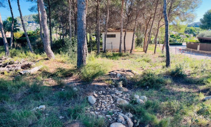 Herverkoop -  -
Jávea / Xàbia - Partides comunes - Adsubia