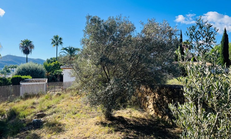 Herverkoop -  -
Jávea / Xàbia - Partides comunes - Adsubia