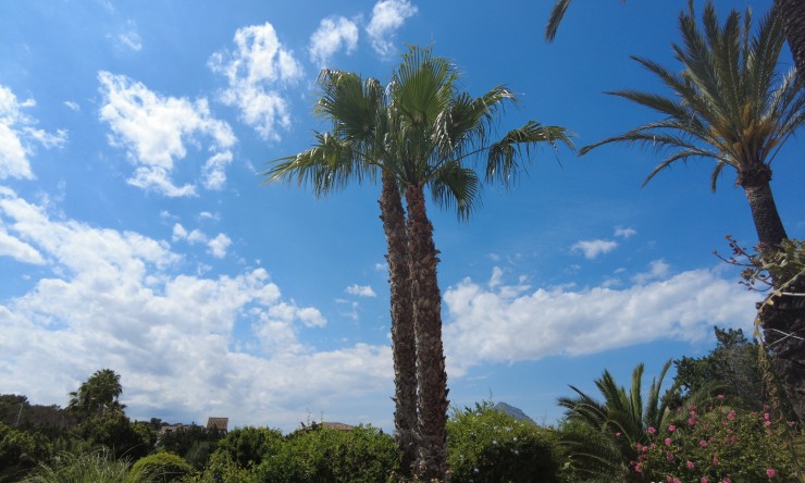 Herverkoop -  -
Jávea / Xàbia - Montañar - El Arenal