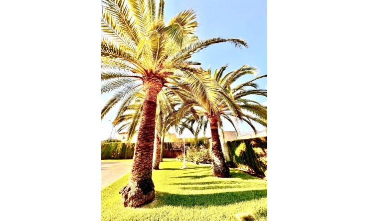 Resale - Town house -
Els Poblets