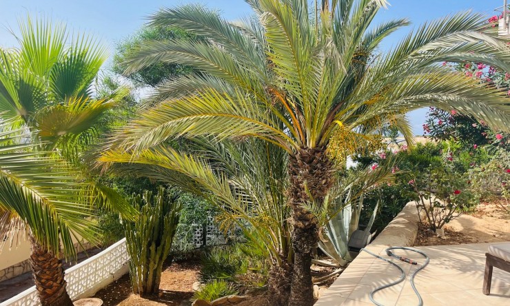 Herverkoop - Villa -
Moraira - Benimeit - Tabaira