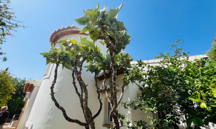 Location à long terme - Villa -
Jávea / Xàbia - La Granadella  - Costa Nova