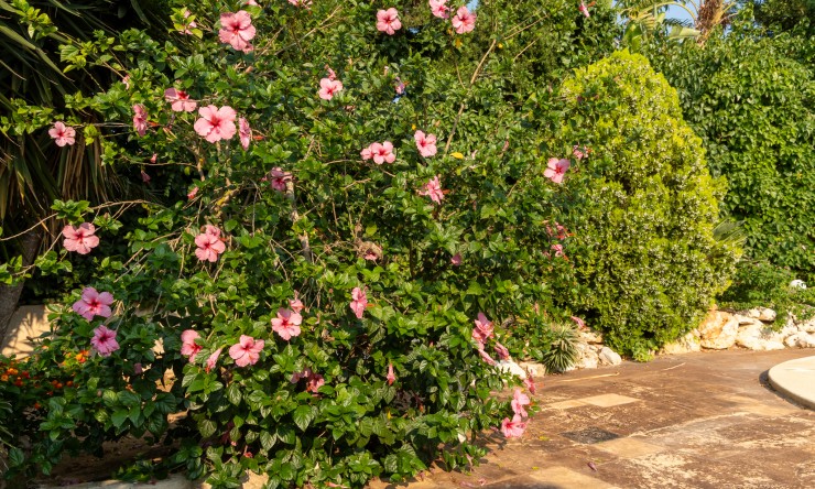 Herverkoop - Villa -
Jávea / Xàbia - Cap Martí - El Tossalet - Pinomar