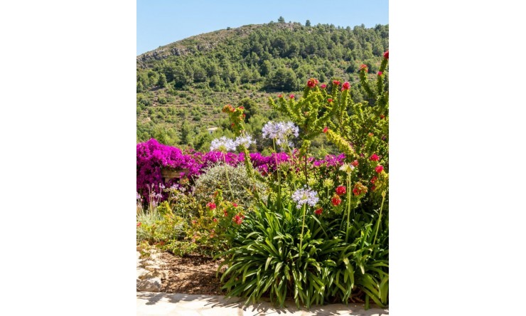 Herverkoop - Villa -
Lliber