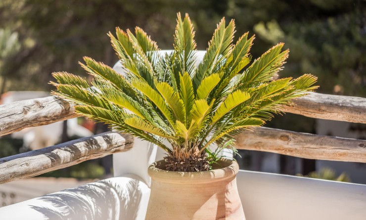 Nieuwbouw Woningen - Villa -
Jávea / Xàbia - Portichol - Balcón al Mar