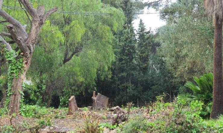 Wiederverkauf -  -
Jávea / Xàbia - Cap Martí - El Tossalet - Pinomar