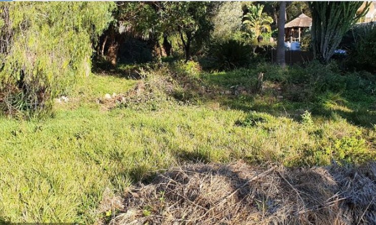 Wiederverkauf -  -
Jávea / Xàbia - Cap Martí - El Tossalet - Pinomar