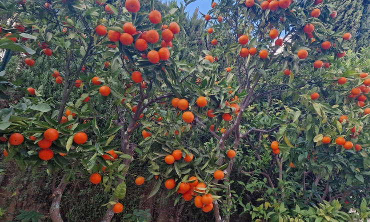Herverkoop - Villa -
Benitachell / El Poble Nou de Benitatxell - Cumbre del Sol