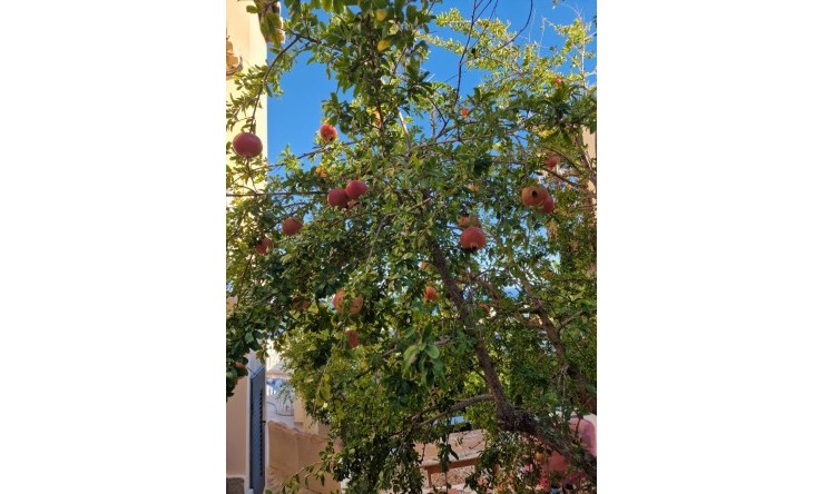 Herverkoop - Villa -
Benitachell / El Poble Nou de Benitatxell - Cumbre del Sol