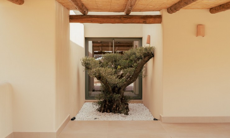 Nieuwbouw Woningen - Villa -
Jávea / Xàbia - Centro ciudad