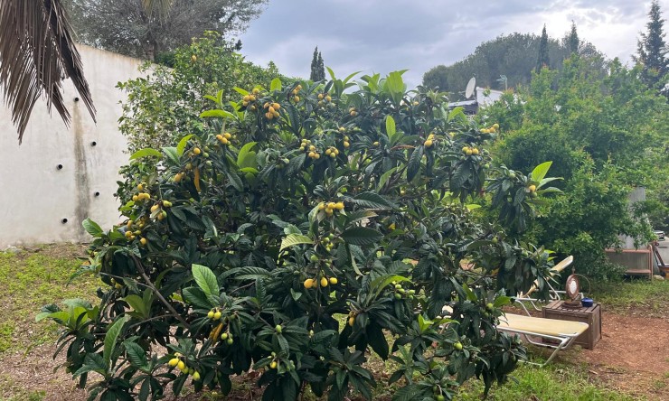 Herverkoop - Villa -
Jávea / Xàbia - Cap Martí - El Tossalet - Pinomar