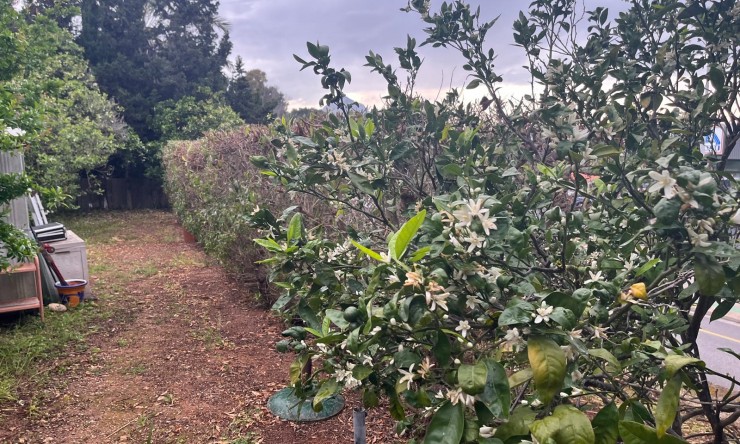 Herverkoop - Villa -
Jávea / Xàbia - Cap Martí - El Tossalet - Pinomar