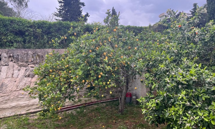 Herverkoop - Villa -
Jávea / Xàbia - Cap Martí - El Tossalet - Pinomar