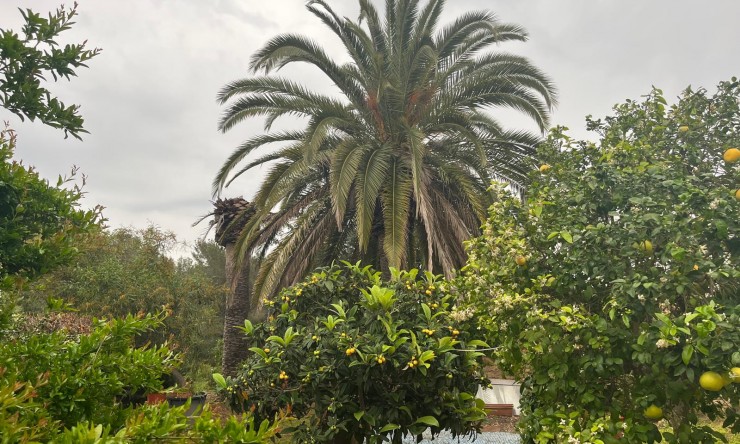 Herverkoop - Villa -
Jávea / Xàbia - Cap Martí - El Tossalet - Pinomar