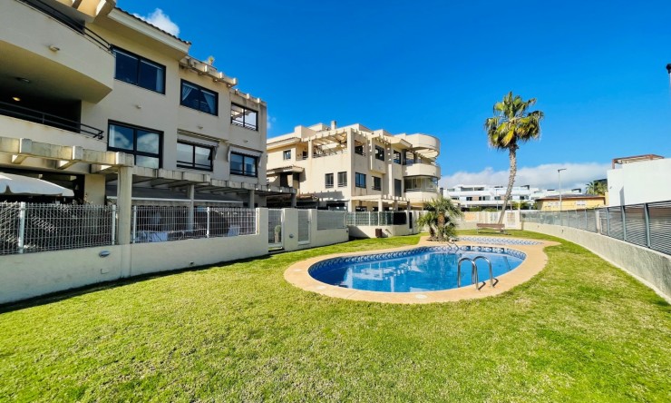 Revente - Appartement -
Albir