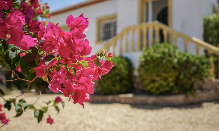 Herverkoop - Villa -
Jávea - Costa Nova