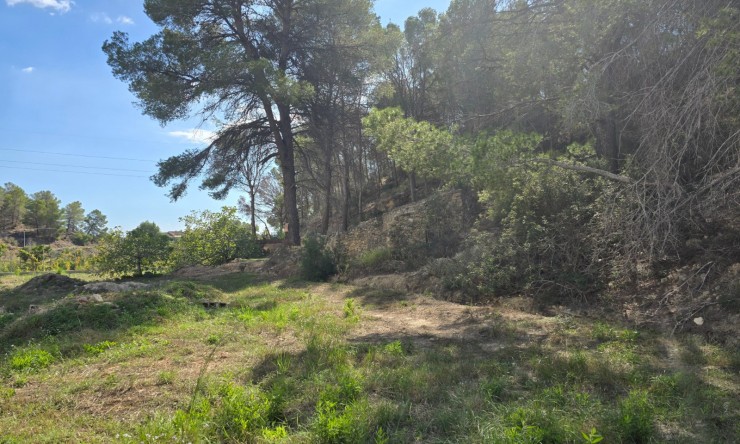 Revente -  -
Altea - Altea La Vella