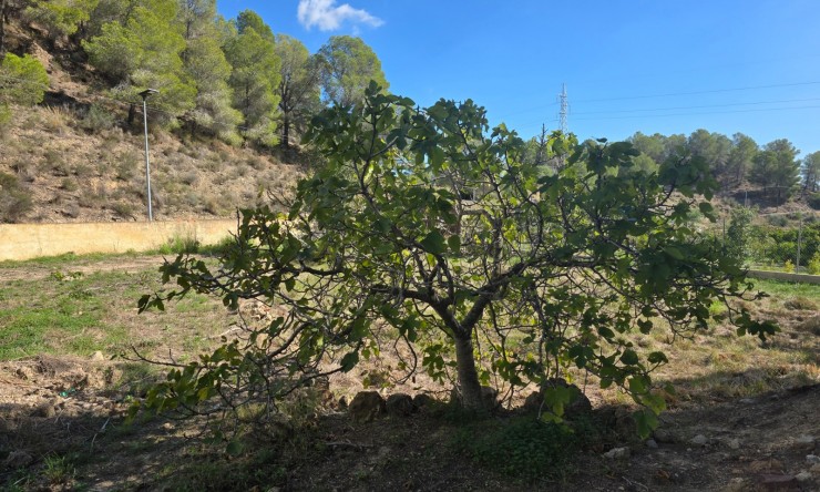 Revente -  -
Altea - Altea La Vella