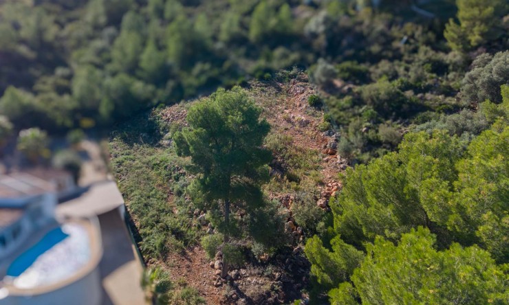 Wiederverkauf -  -
Pego - Monte Pego