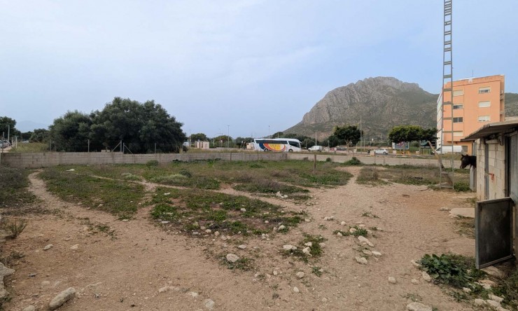 Rynek Wtórny -  -
El Verger