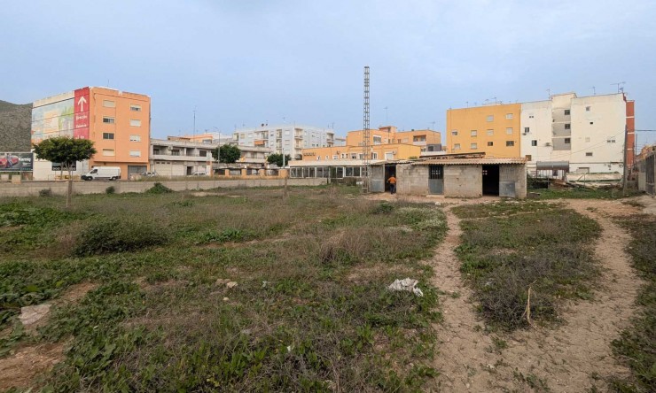 Rynek Wtórny -  -
El Verger