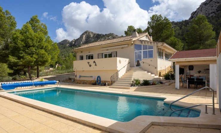 Reventa - Finca -
La Zarza