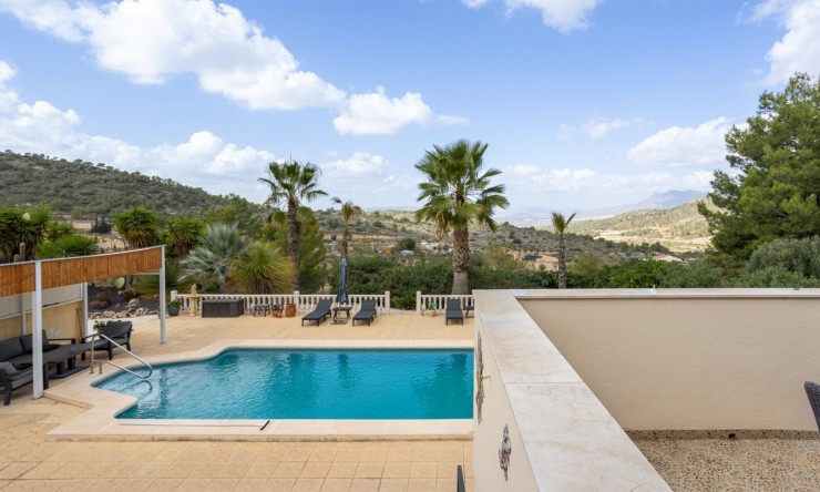 Reventa - Finca -
La Zarza