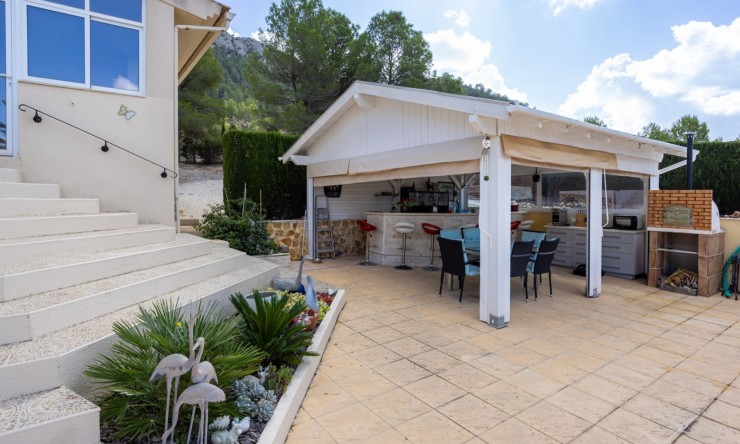 Reventa - Finca -
La Zarza