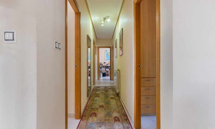 Reventa - Finca -
La Zarza