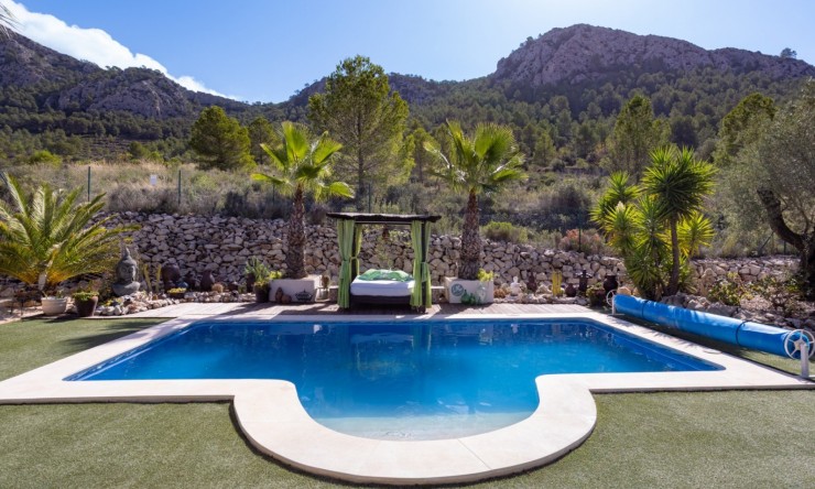 Resale - Villa -
La Zarza