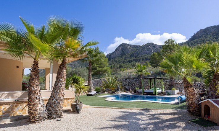 Resale - Villa -
La Zarza