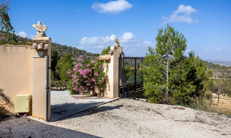 Resale - Villa -
La Zarza