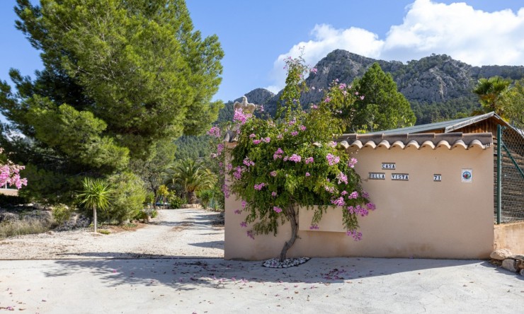 Resale - Villa -
La Zarza