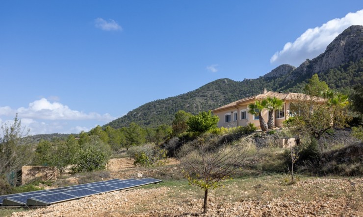 Resale - Villa -
La Zarza