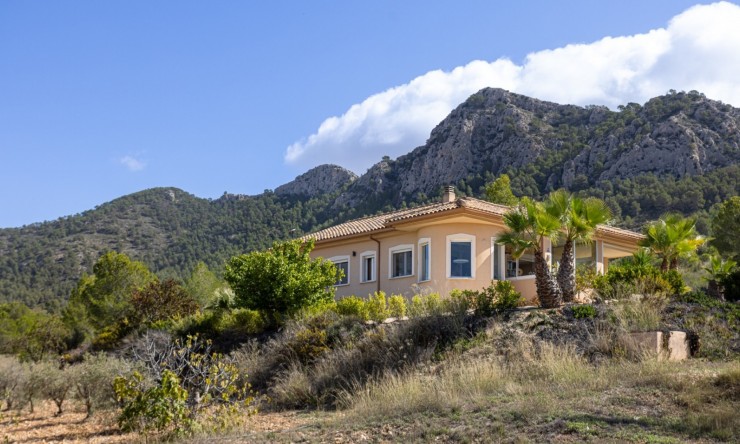 Resale - Villa -
La Zarza