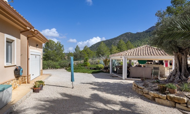 Resale - Villa -
La Zarza