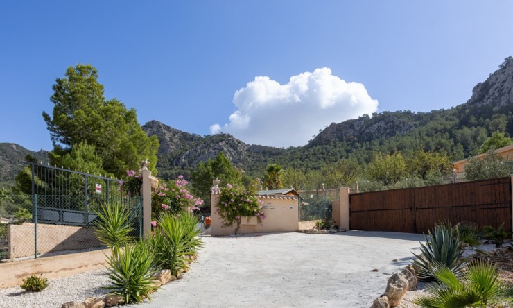 Resale - Villa -
La Zarza