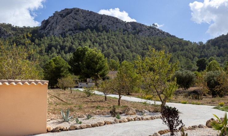 Resale - Villa -
La Zarza