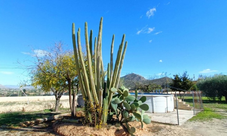 Resale - Finca -
Hondón de los Fráiles