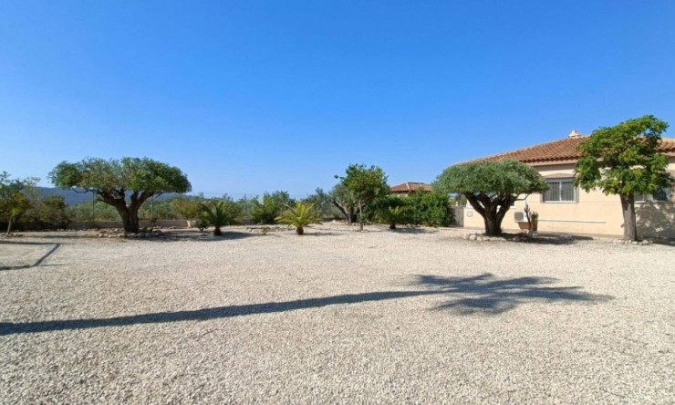 Reventa - Villa -
Murcia - Macisvenda