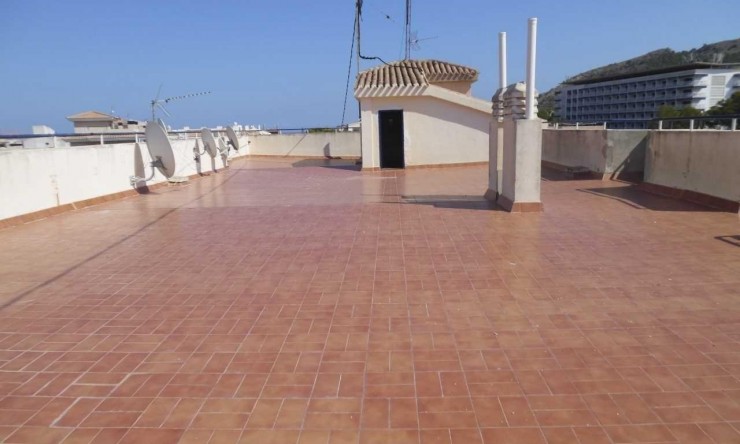 Wiederverkauf - Wohnung -
Albir