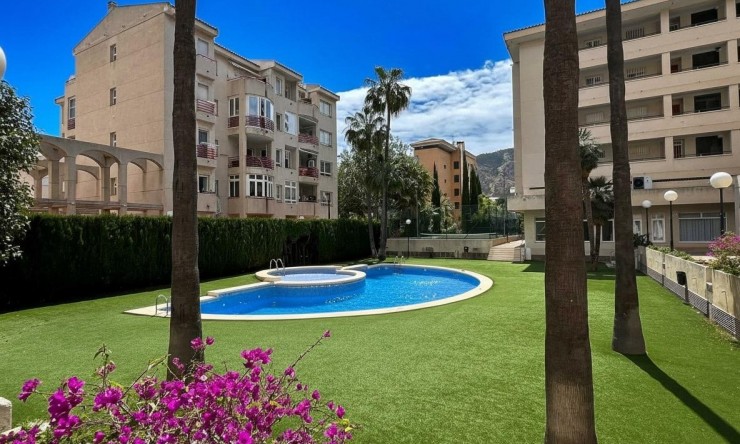 Reventa - Apartamento -
Albir