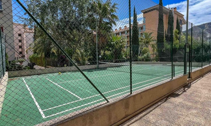 Reventa - Apartamento -
Albir