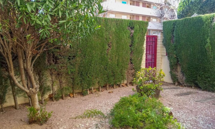 Resale - Apartment -
Albir