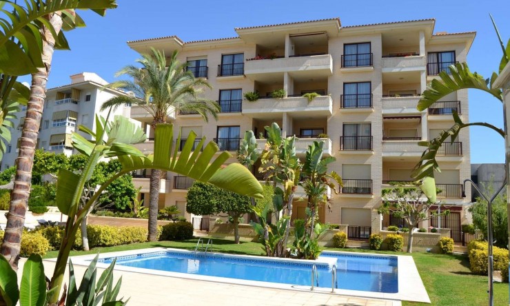 Resale - Apartment -
Albir