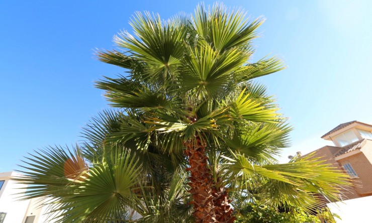 Revente - Villa -
La Nucía - Coloma